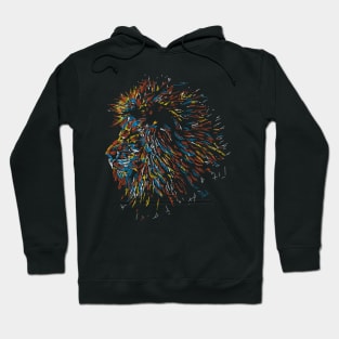 abstract lion head colorful Hoodie